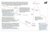 sto104 gulf carpentaria_thumb.gif